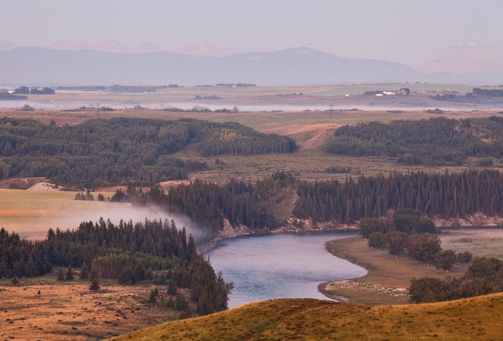 Cochrane